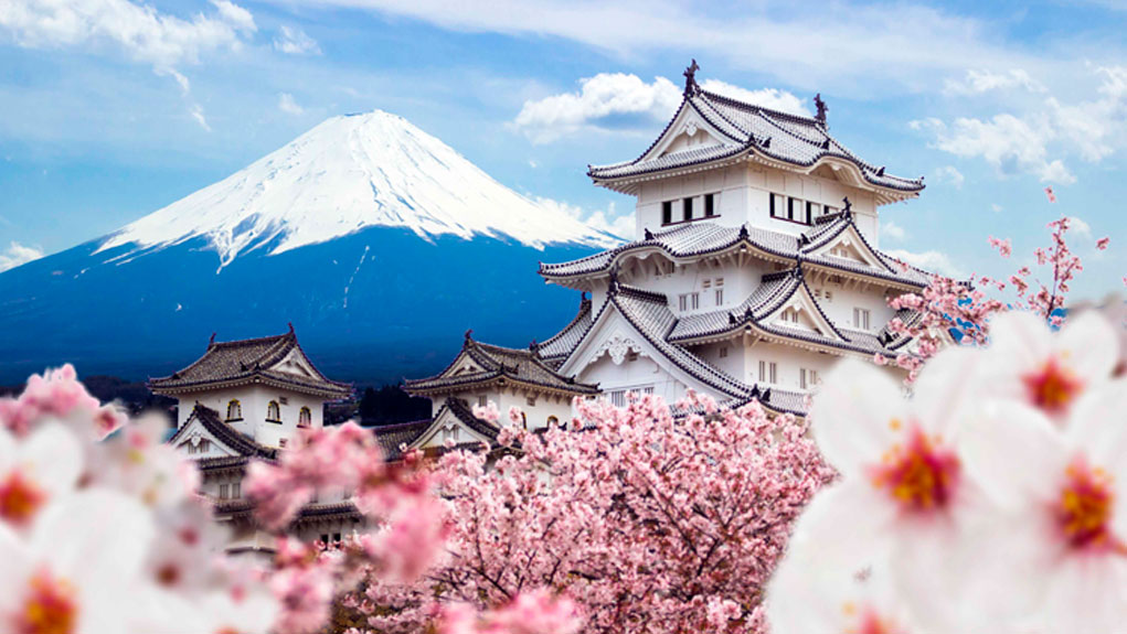 Ikigai: como a sabedoria japonesa pode nos inspirar a viver melhor e por mais tempo