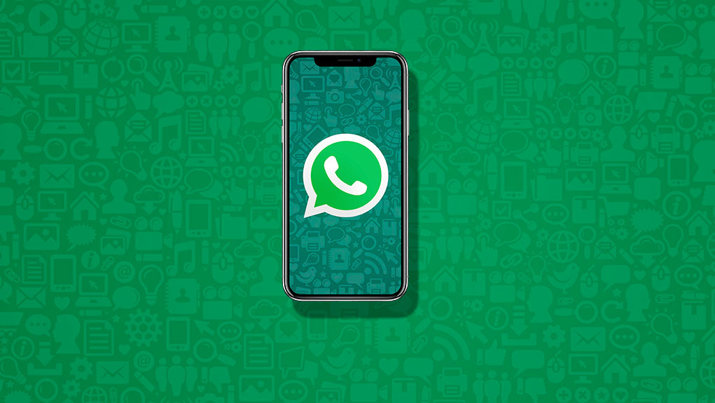 Uso do WhatsApp nos negócios revoluciona o jeito de vender e atender