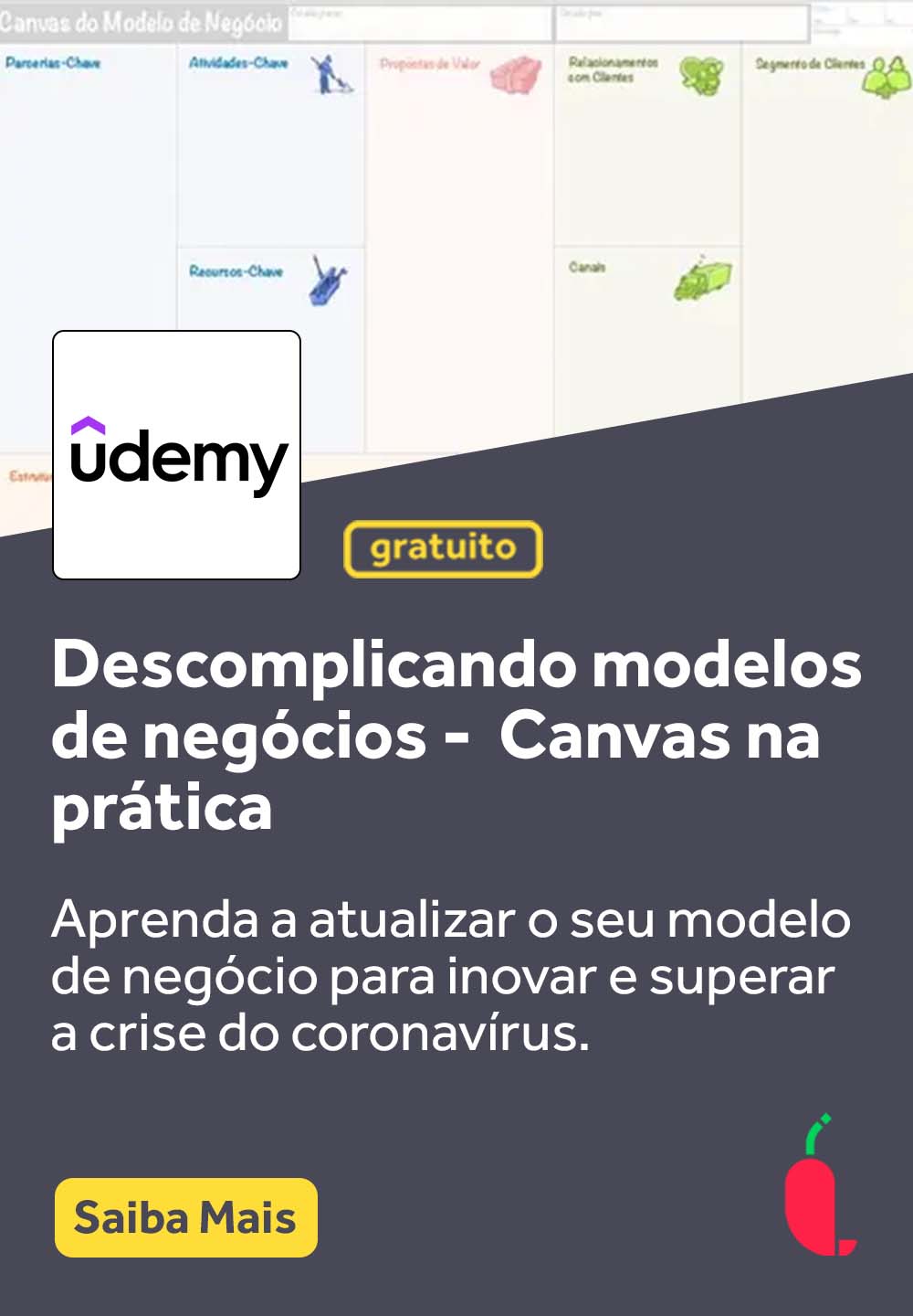 Banner_Cursos_Pimenta_Udemy_Descomplicando modelos de negocios